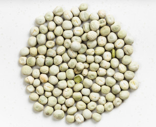 Similar image 21072359