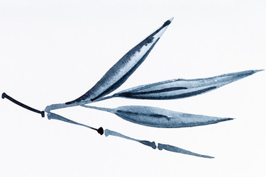 Similar image 21062170