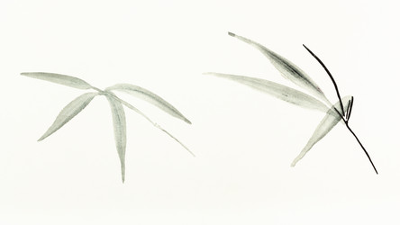 Similar image 21064967