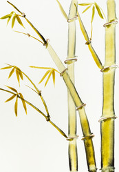 Similar image 21065298