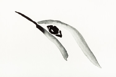 Similar image 21065567