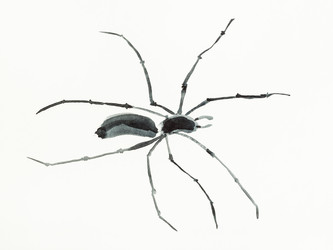 Similar image 21066667