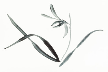 Similar image 21072105