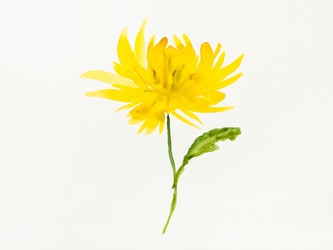 Similar image 21072361