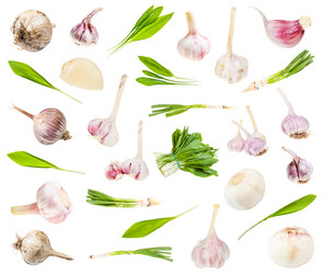 Similar image 21061735