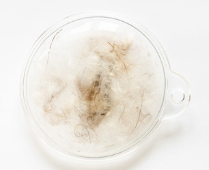 Similar image 21062063