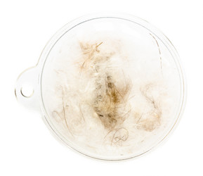 Similar image 21062064