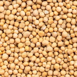 Similar image 21064977