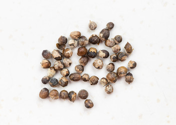 Similar image 21065333