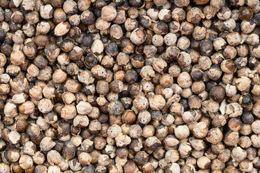 Similar image 21065405