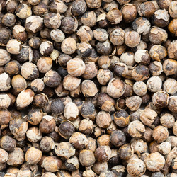 Similar image 21065406