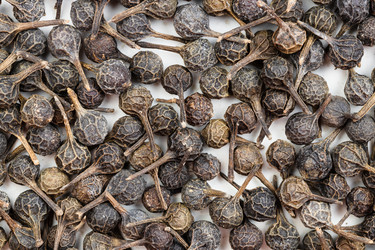 Similar image 21072122