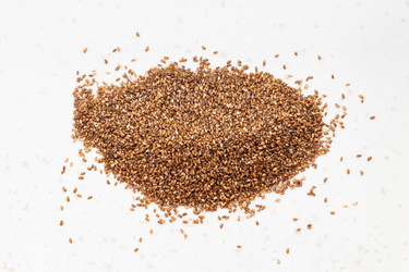 Similar image 21060430