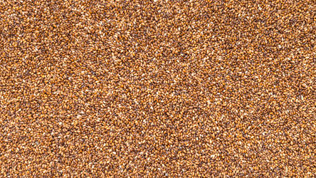 Similar image 21060502