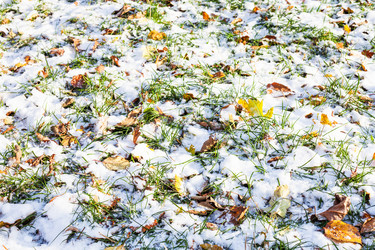 Similar image 21065413