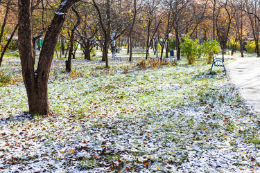 Similar image 21065963