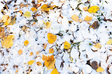 Similar image 21072128