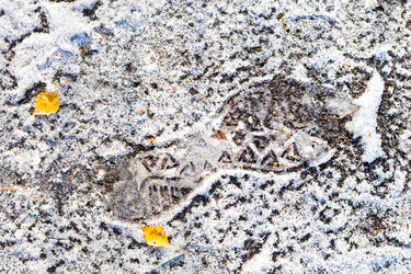 Similar image 21072130