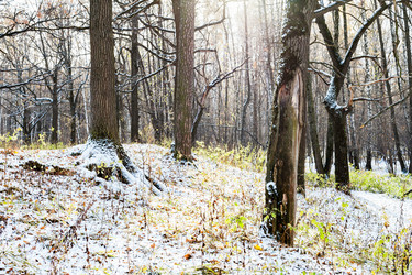 Similar image 21072458