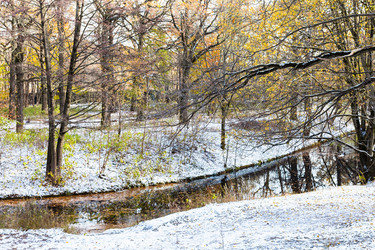 Similar image 21075789