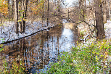 Similar image 21076119