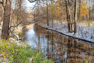 Similar image 21076202