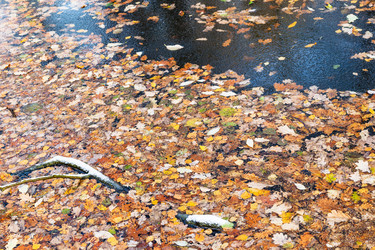 Similar image 21076204