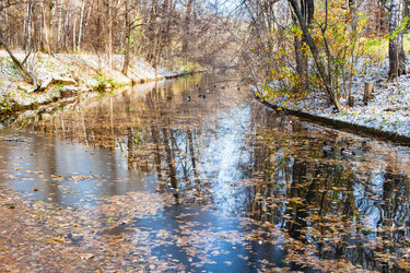 Similar image 21076206