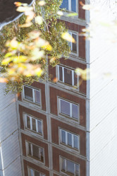 Similar image 21060431