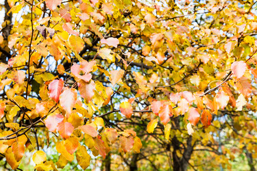 Similar image 21060639