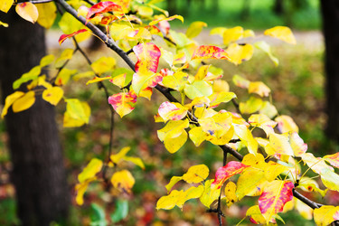 Similar image 21061742