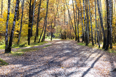 Similar image 21065964