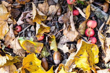 Similar image 21072309