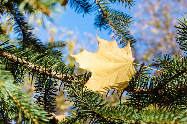 Similar image 21076121