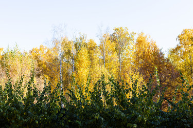 Similar image 21076213