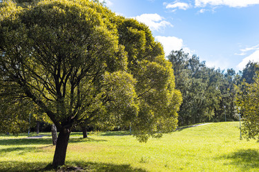 Similar image 21060645