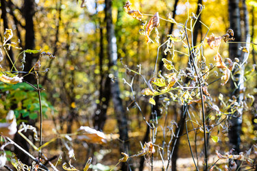 Similar image 21065968