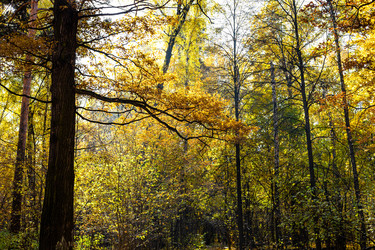 Similar image 21066078