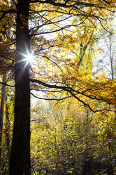 Similar image 21066236