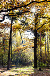 Similar image 21072150