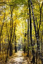 Similar image 21072155