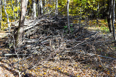 Similar image 21072310