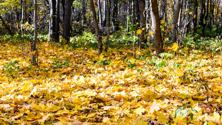 Similar image 21072408