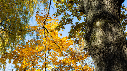 Similar image 21072461