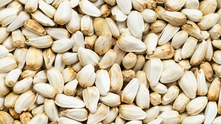 Similar image 21072462