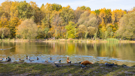 Similar image 21060509