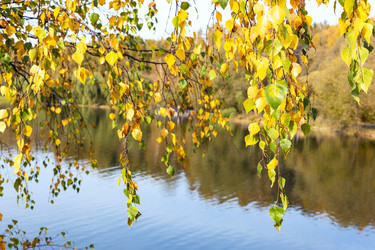 Similar image 21060652