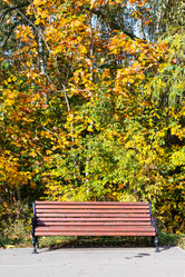 Similar image 21060653