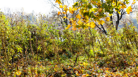 Similar image 21062076