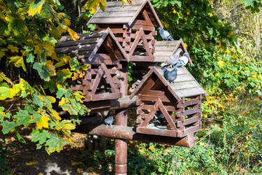 Similar image 21062077